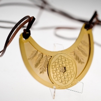 Flower of Life with feather  fern background