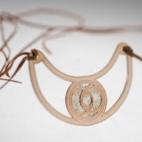 Vesica Piscis with seedpod background